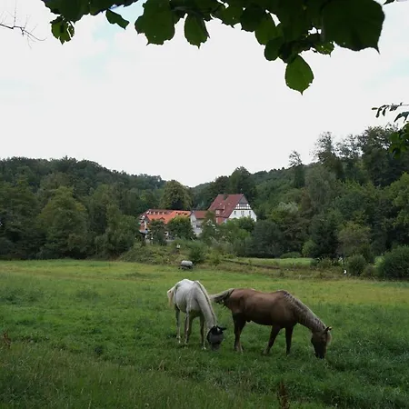 Haus Recke Hotel Balve