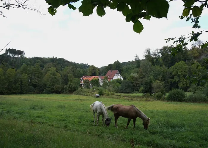 Haus Recke Hotel Balve